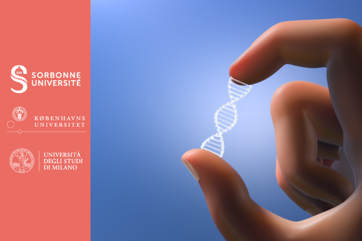 P53SPT : Understanding the spatial organization of p53 in response to DNA damage through single particle tracking