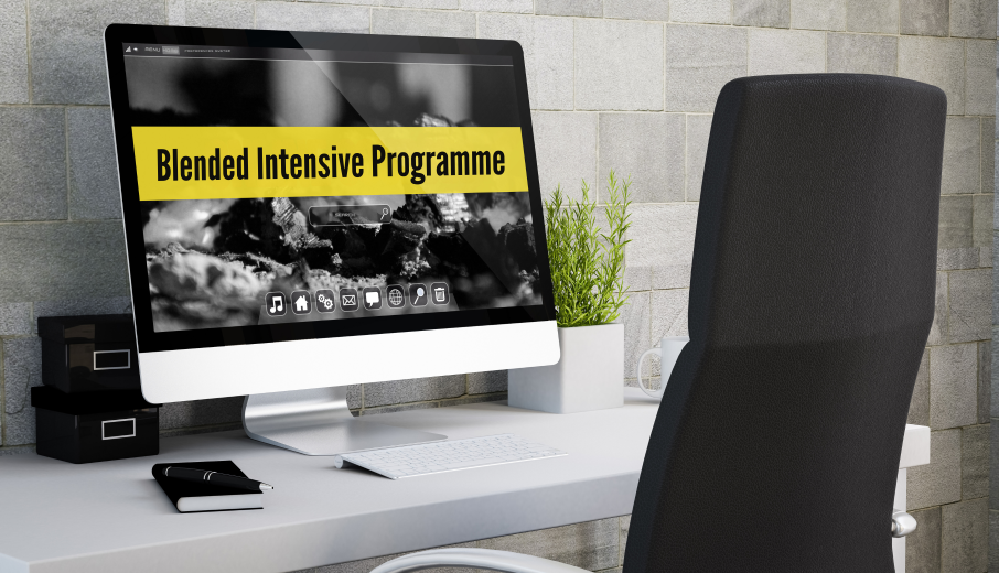Info session: Blended Intensive Programme for 4EU+ activities (8 April)